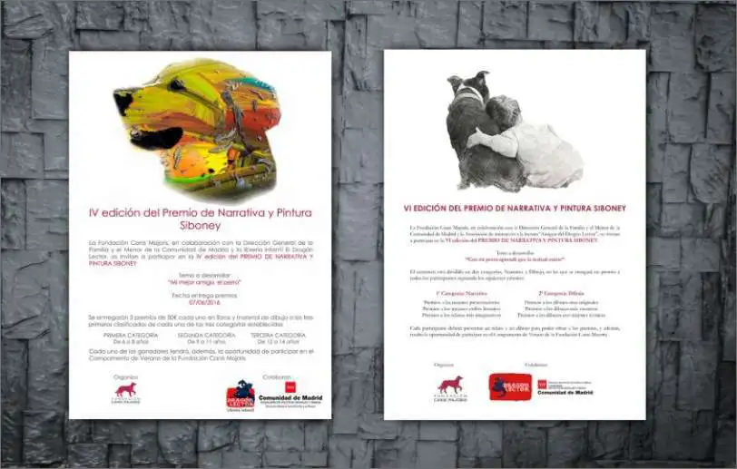 Carteles publicitarios de los diferentes eventos que organizamos junto con la Fundación Canis Majoris