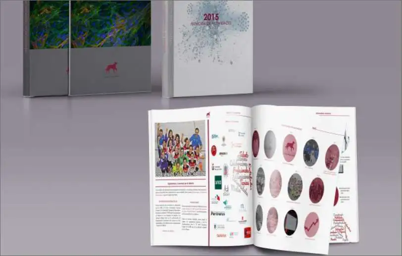 Diseño, maquetación y edición de ocho publicaciones en formato físico y digital para la Fundación Canis Majoris